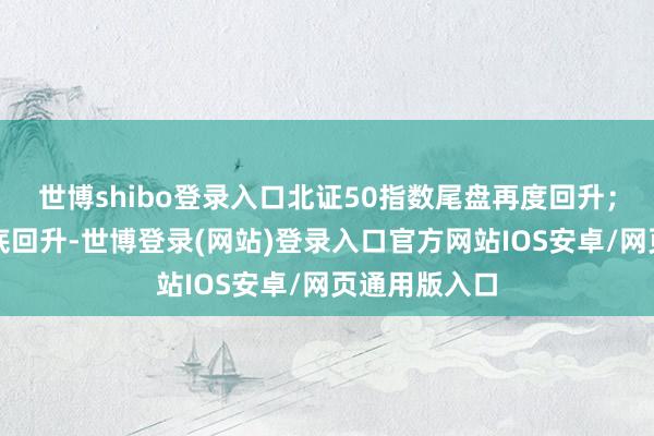 世博shibo登录入口北证50指数尾盘再度回升；港股盘中探底回升-世博登录(网站)登录入口官方网站IOS安卓/网页通用版入口