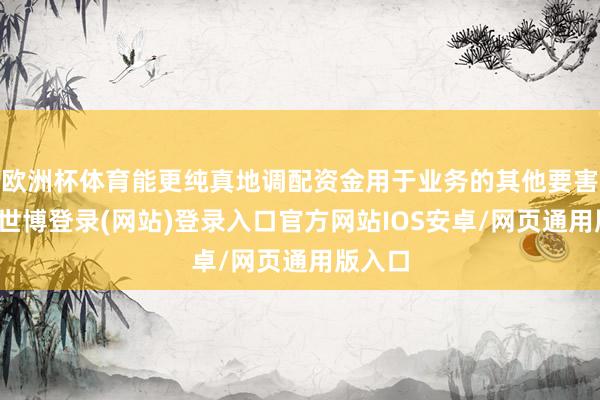 欧洲杯体育能更纯真地调配资金用于业务的其他要害要害-世博登录(网站)登录入口官方网站IOS安卓/网页通用版入口