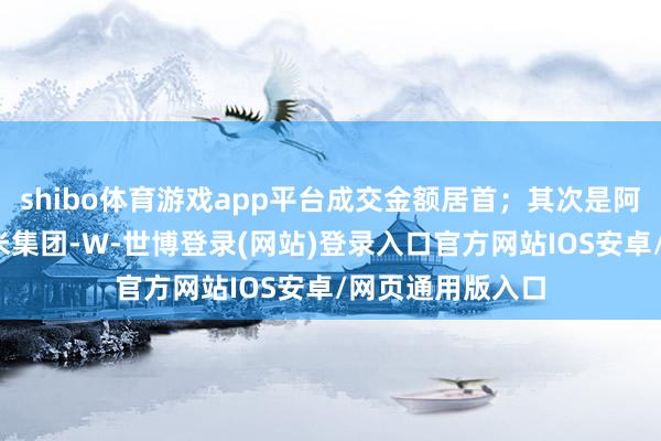 shibo体育游戏app平台成交金额居首；其次是阿里巴巴-W、小米集团-W-世博登录(网站)登录入口官方网站IOS安卓/网页通用版入口