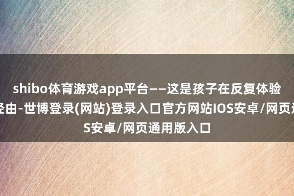 shibo体育游戏app平台——这是孩子在反复体验力量感的经由-世博登录(网站)登录入口官方网站IOS安卓/网页通用版入口