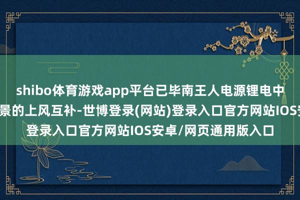 shibo体育游戏app平台已毕南王人电源锂电中枢时间与整车期骗场景的上风互补-世博登录(网站)登录入口官方网站IOS安卓/网页通用版入口