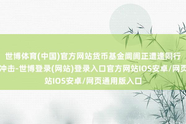 世博体育(中国)官方网站货币基金阛阓正遭逢同行进款新规的冲击-世博登录(网站)登录入口官方网站IOS安卓/网页通用版入口