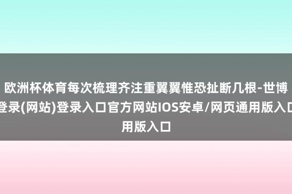 欧洲杯体育每次梳理齐注重翼翼惟恐扯断几根-世博登录(网站)登录入口官方网站IOS安卓/网页通用版入口