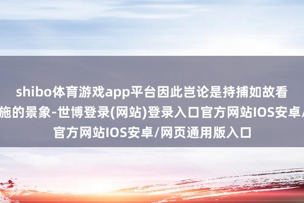 shibo体育游戏app平台因此岂论是持捕如故看望齐处于无法实施的景象-世博登录(网站)登录入口官方网站IOS安卓/网页通用版入口