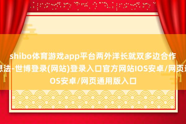 shibo体育游戏app平台两外洋长就双多边合作潜入交换想法-世博登录(网站)登录入口官方网站IOS安卓/网页通用版入口