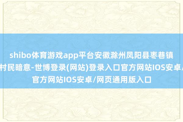 shibo体育游戏app平台安徽滁州凤阳县枣巷镇花圃湖村的多位村民暗意-世博登录(网站)登录入口官方网站IOS安卓/网页通用版入口