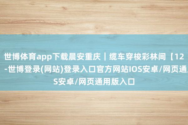 世博体育app下载晨安重庆｜缆车穿梭彩林间【12月11日】-世博登录(网站)登录入口官方网站IOS安卓/网页通用版入口